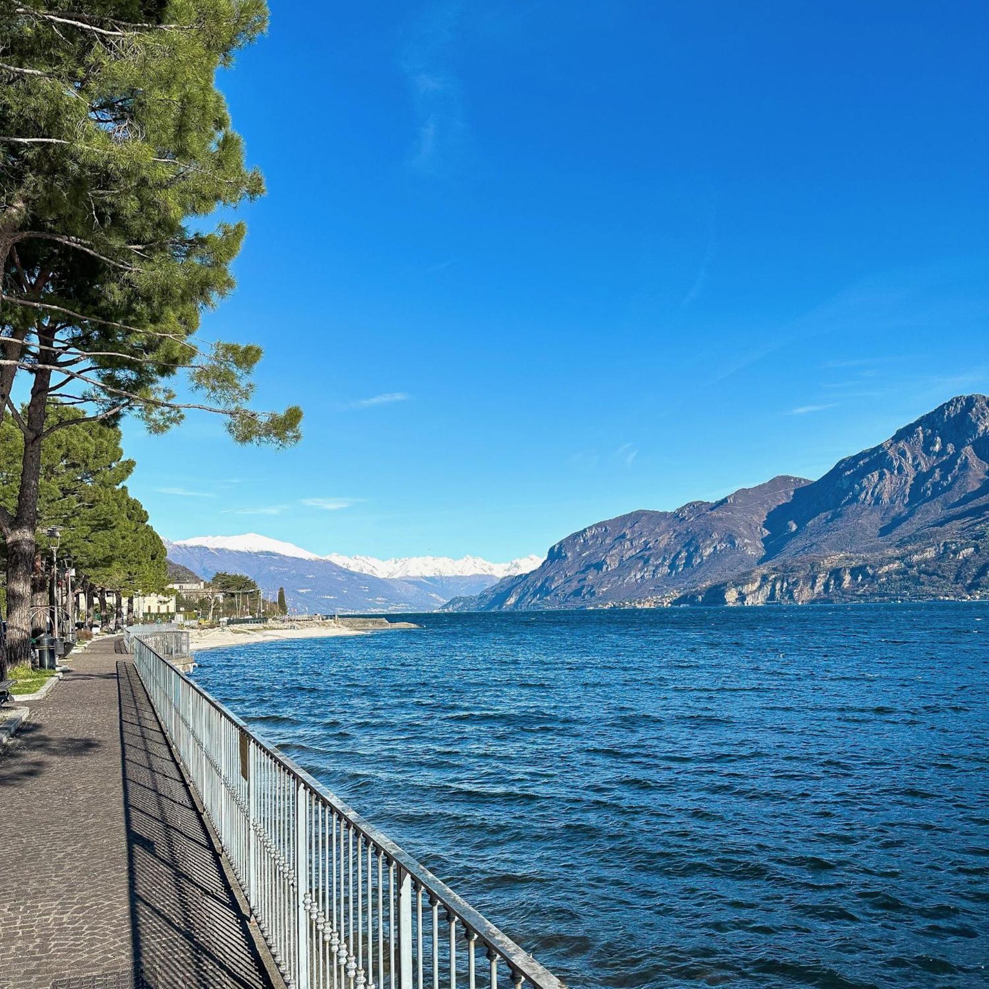 Renzo E Lucia Lake View Apartment Oliveto Lario 외부 사진